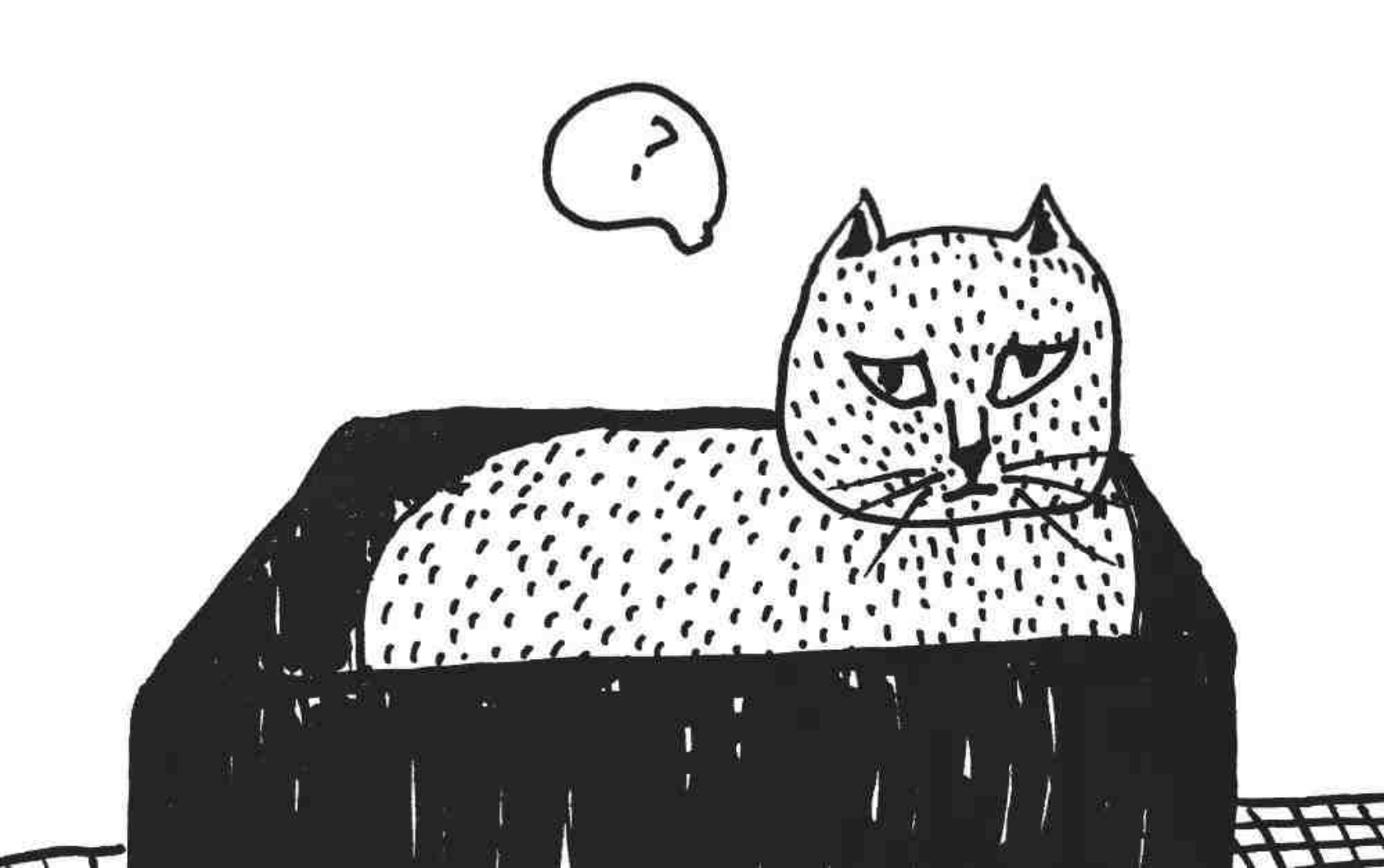 喵生百态丨猫的内心戏可以有多丰富？