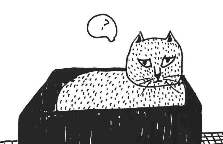 喵生百态丨流泪撒种的，必欢呼收割