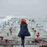 流浪的“神二代”,回家啦!