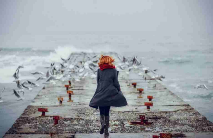 流浪的“神二代”，回家啦！