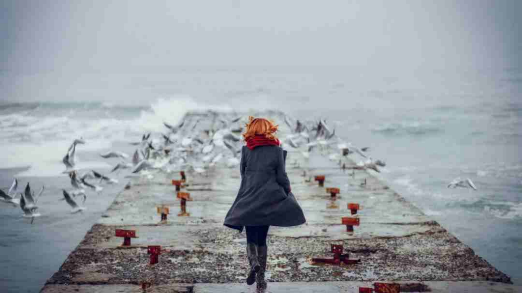 流浪的“神二代”，回家啦！