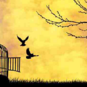 我是一个错误？我因自己的存在感到羞耻？