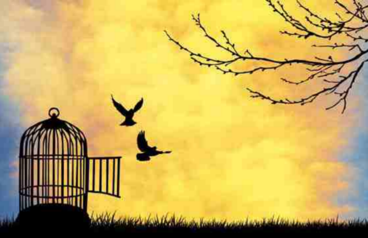 我是一个错误？我因自己的存在感到羞耻？