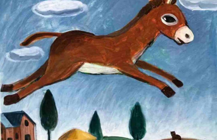 小驴安安成长记