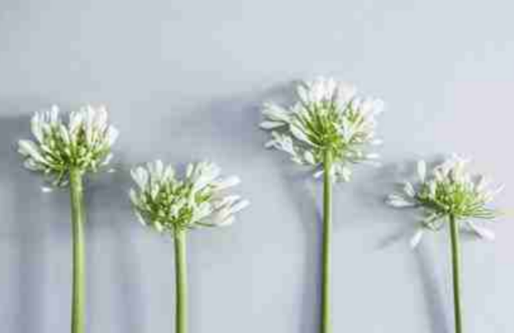 一天里，妻子痛失丈夫，儿子送别父亲