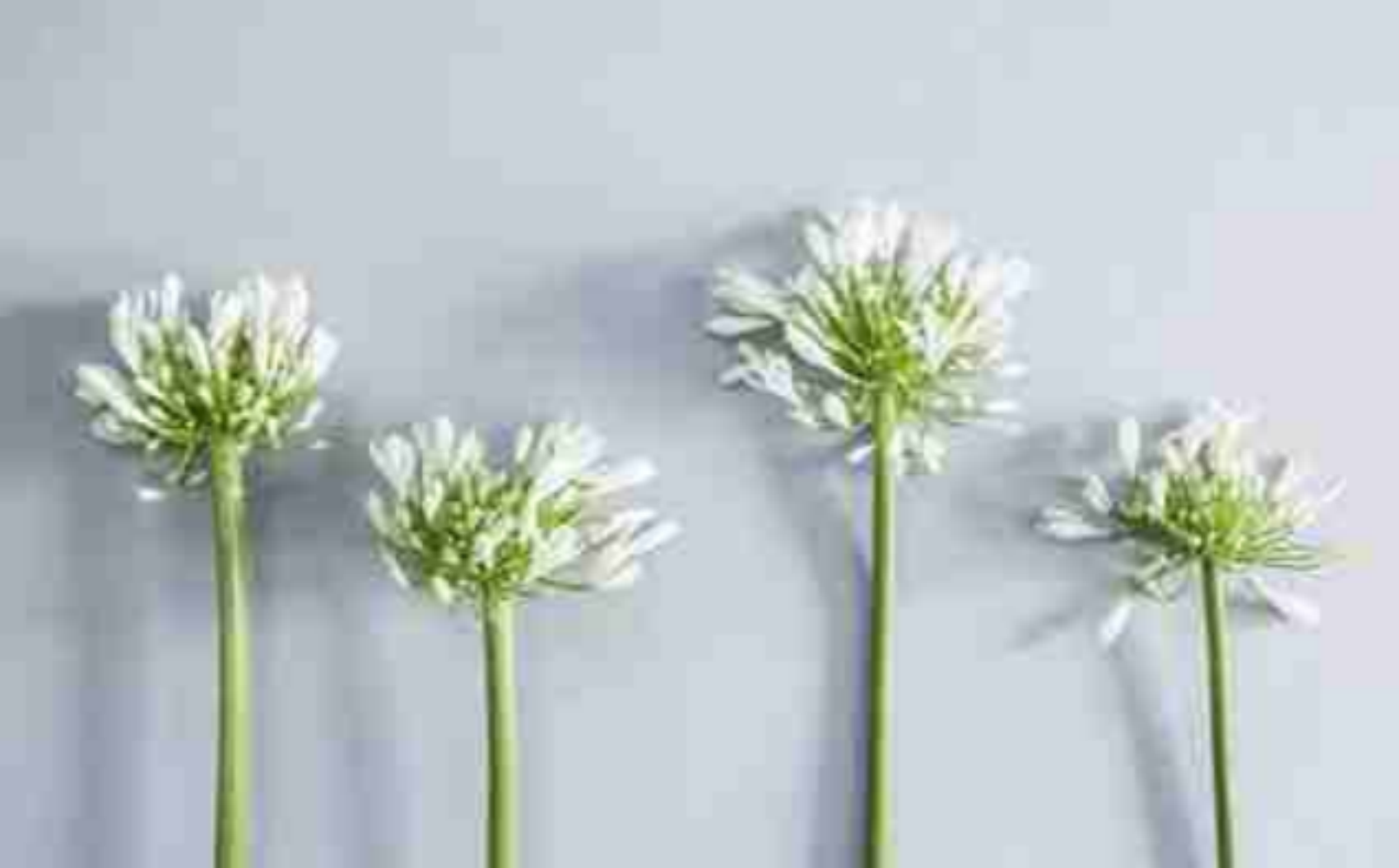 一天里，妻子痛失丈夫，儿子送别父亲