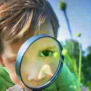 人生最大的失败就是惧怕失败？