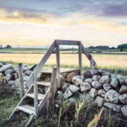 尘世不是游乐场，扫荡所有冒牌货