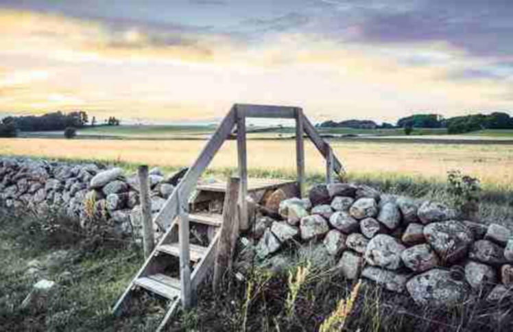 尘世不是游乐场，扫荡所有冒牌货