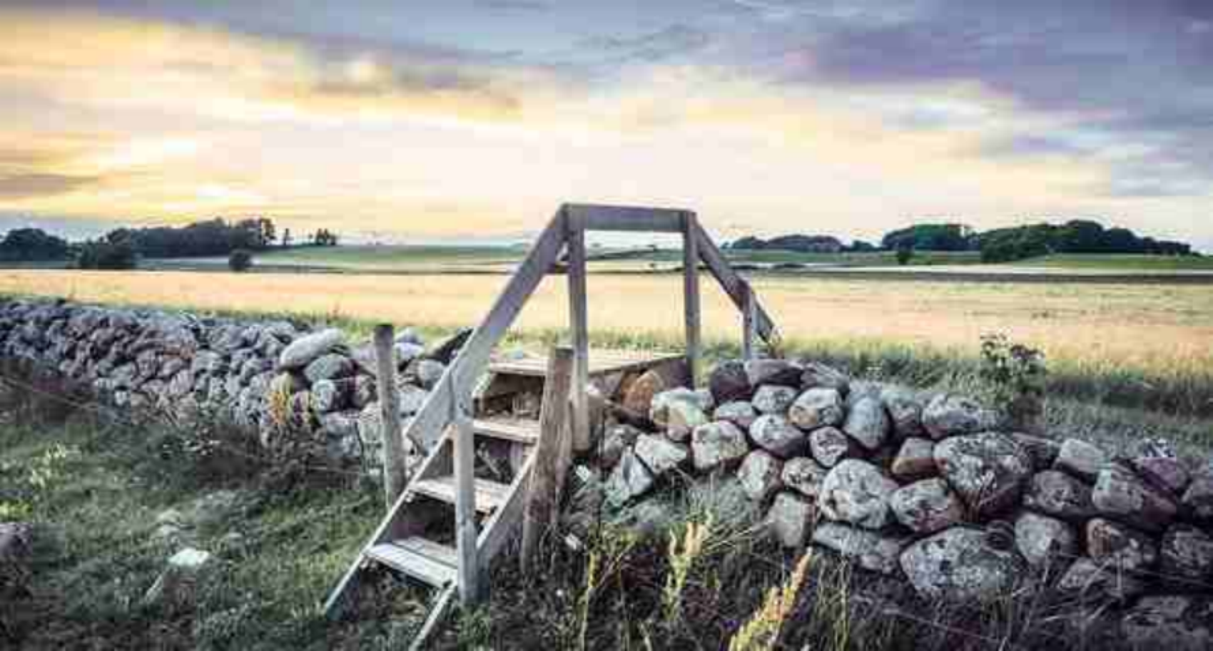 尘世不是游乐场，扫荡所有冒牌货