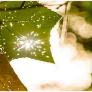 身体如此残破，我竟遇见爱情？