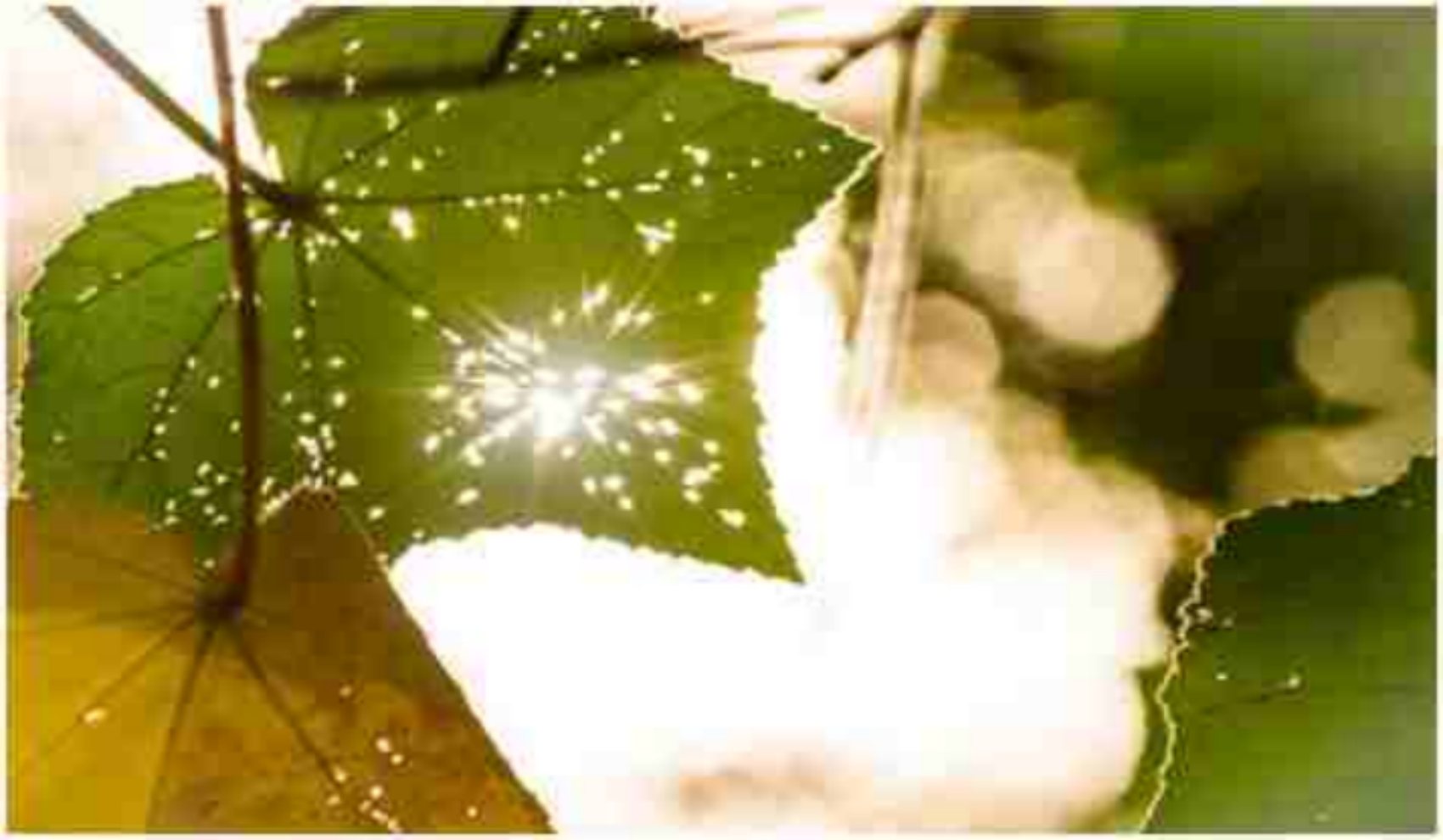 身体如此残破，我竟遇见爱情？