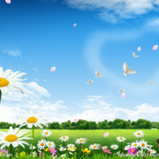 清明的纪念：一粒落在泰国的麦子 —— 27岁的黄嘉和宣教士