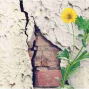 世界五十佳教授莫兰德：焦虑来临，我曾想自杀