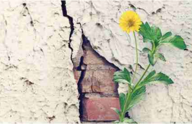 世界五十佳教授莫兰德：焦虑来临，我曾想自杀