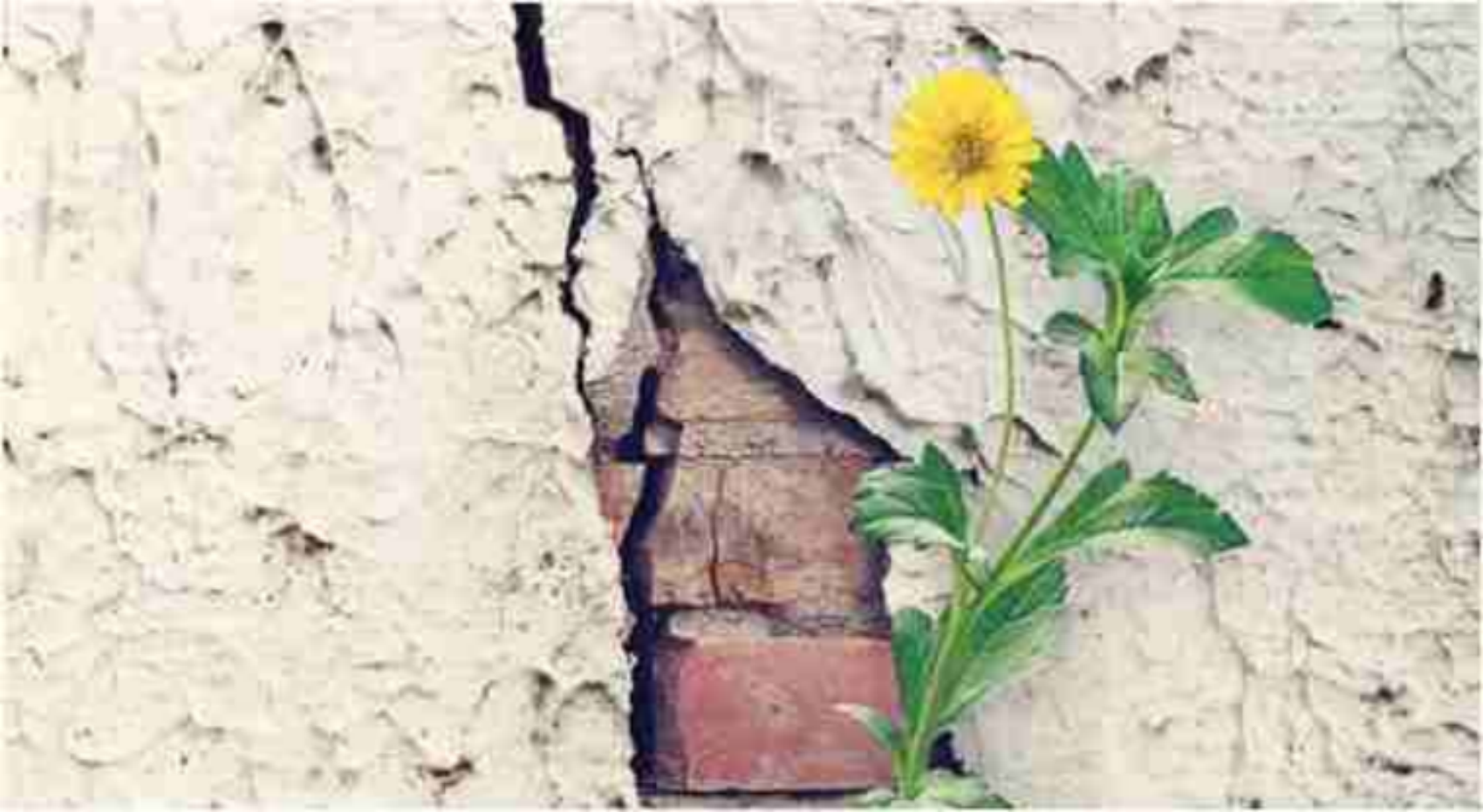 世界五十佳教授莫兰德：焦虑来临，我曾想自杀