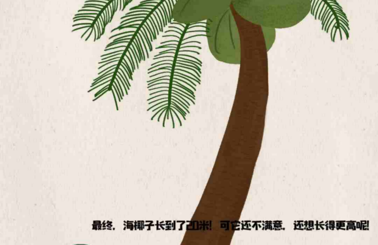 原创绘本 l 手工：成长大赛，究竟谁是冠军？