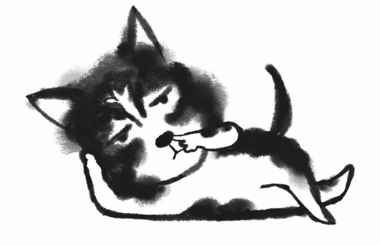 《境界》互动：春节回家，你又被逼婚了吗？| 寻找去年留言者