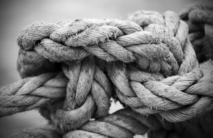 世人在基督教里找什么？不就是忧患中的喜乐嘛！