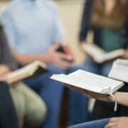 领袖的结局比开始更重要 ——看美国名牧海波斯退休前被指控