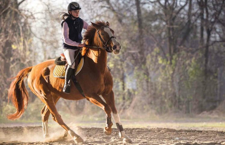 穿过“佛系”和“丧”，真实的90后是啥样？ | 这世代访谈