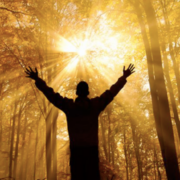 【地球日特稿】人类忙着抗疫，地球才能喘息？