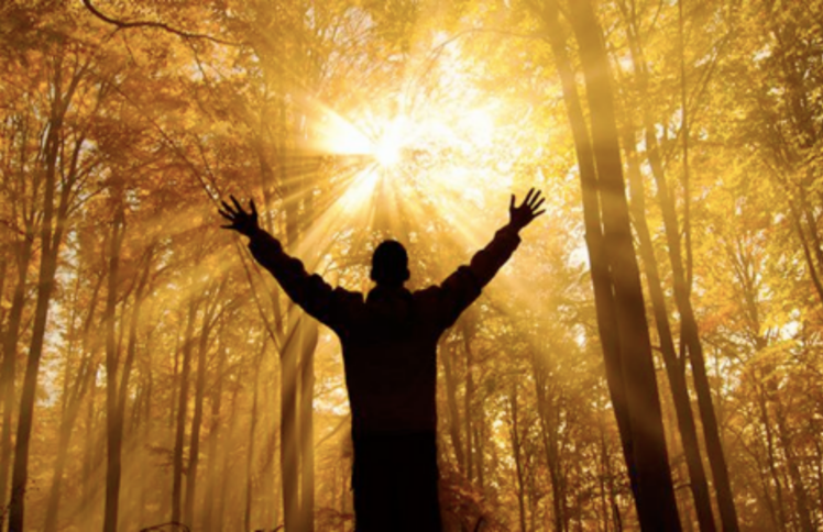 【地球日特稿】人类忙着抗疫，地球才能喘息？