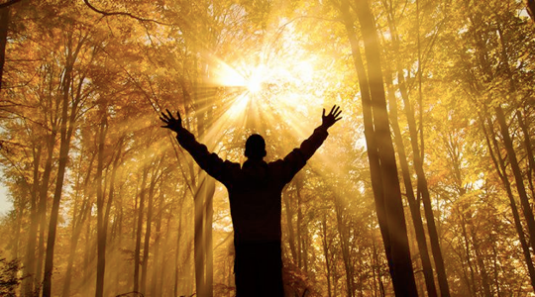 【地球日特稿】人类忙着抗疫，地球才能喘息？