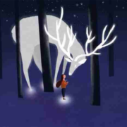 遇见你，让我重新期待爱与被爱