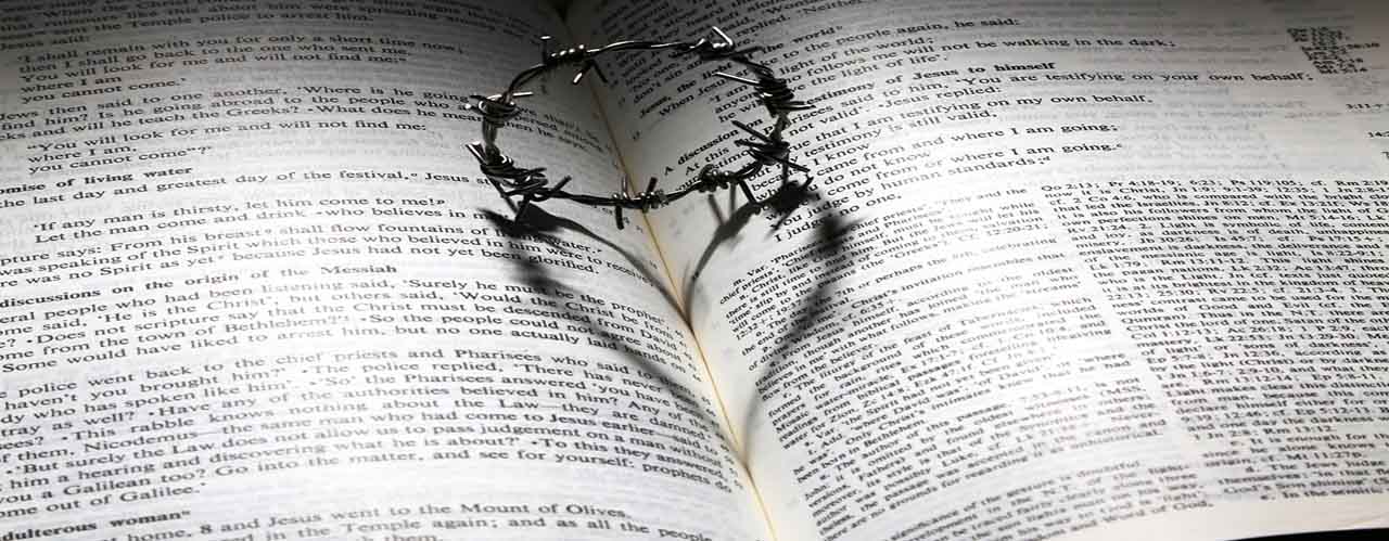 刀斧手的美好人生——纪念寇尔森逝世两周年