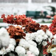 入土为安吗?我为什么卖掉全美最好的墓地