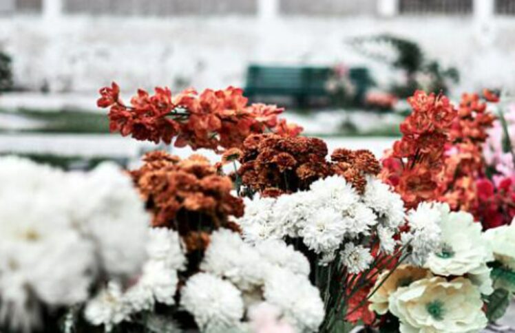 入土为安吗?我为什么卖掉全美最好的墓地