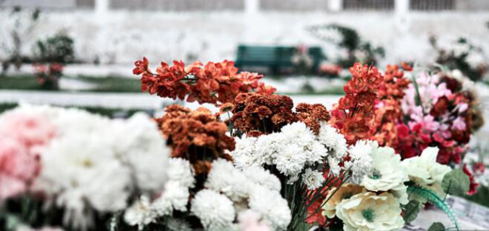 入土为安吗？我为什么卖掉全美最好的墓地