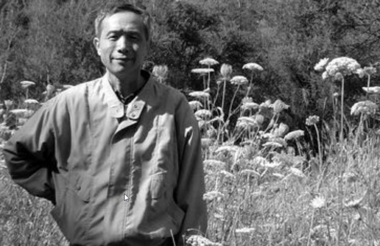 杨小凯：得到全世界，失去性命又有什么用？