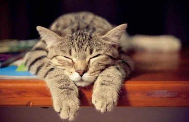 能睡觉，也是有信心？——读《睡觉也能荣耀神》