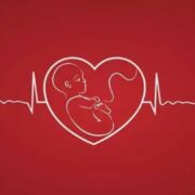 胎儿，妈妈，你们别怕