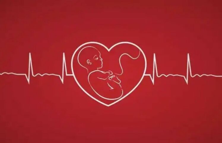 胎儿，妈妈，你们别怕