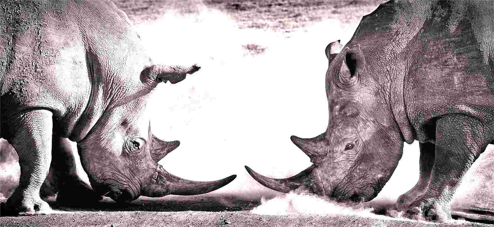 哪里才是你的战场？