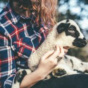 从火中抽出来的一根柴 ——一个高三毕业班老师的重生