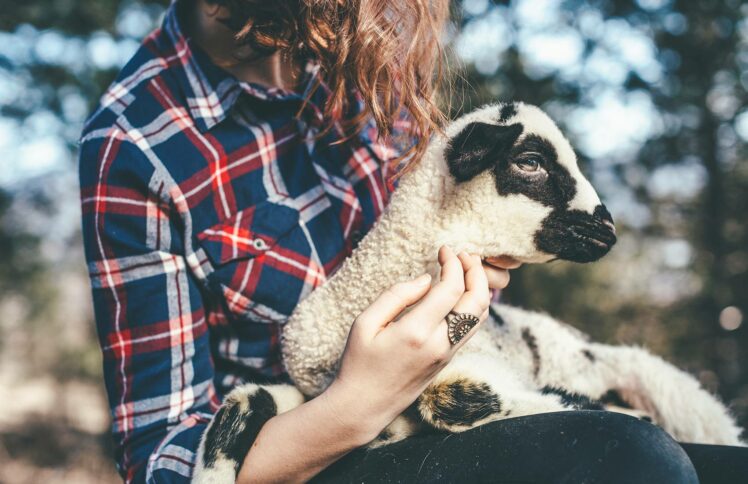 从火中抽出来的一根柴 ——一个高三毕业班老师的重生