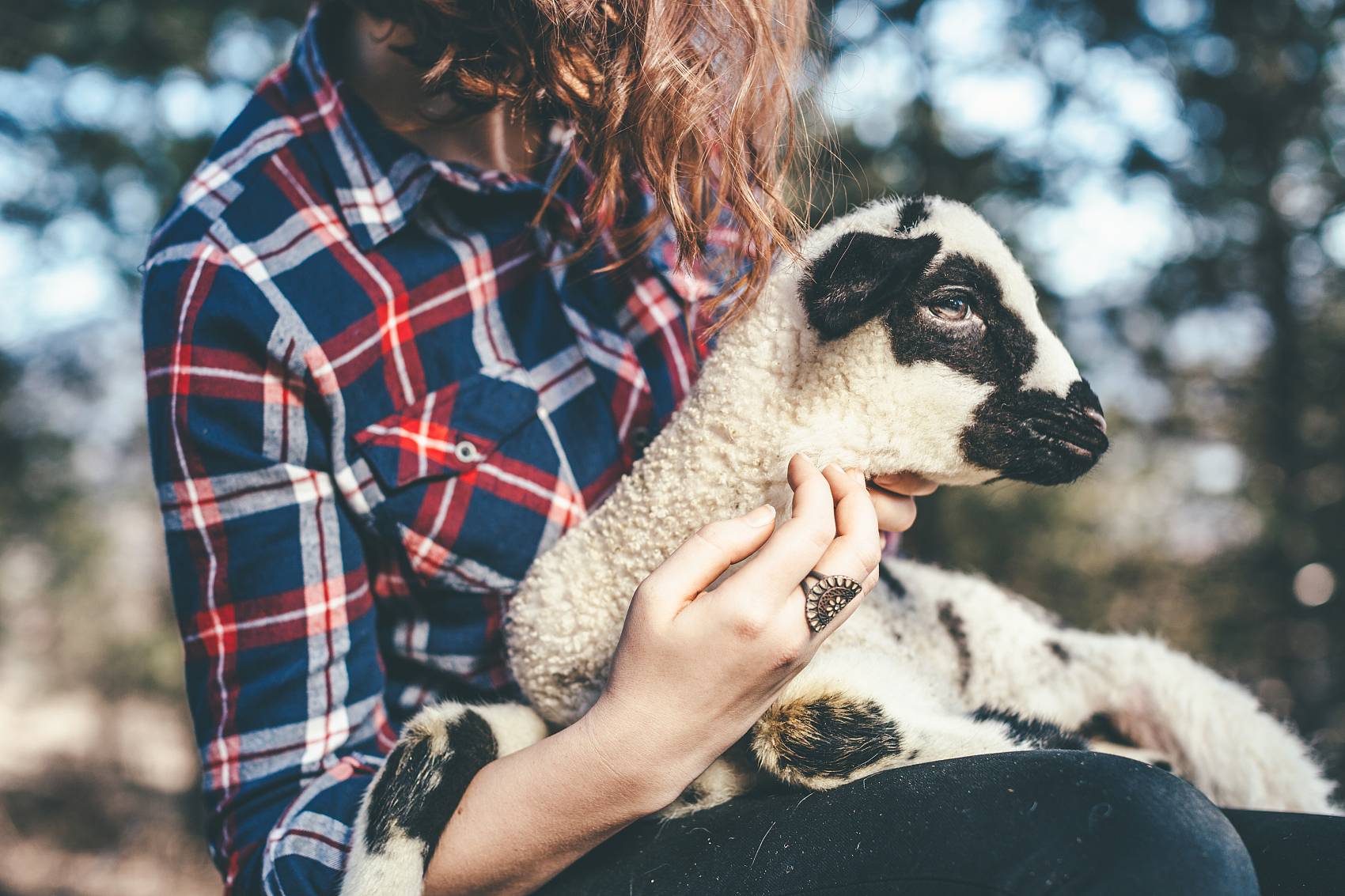 从火中抽出来的一根柴 ——一个高三毕业班老师的重生