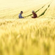 一个哈佛教授的自白：“自由”正是我痛苦的原因