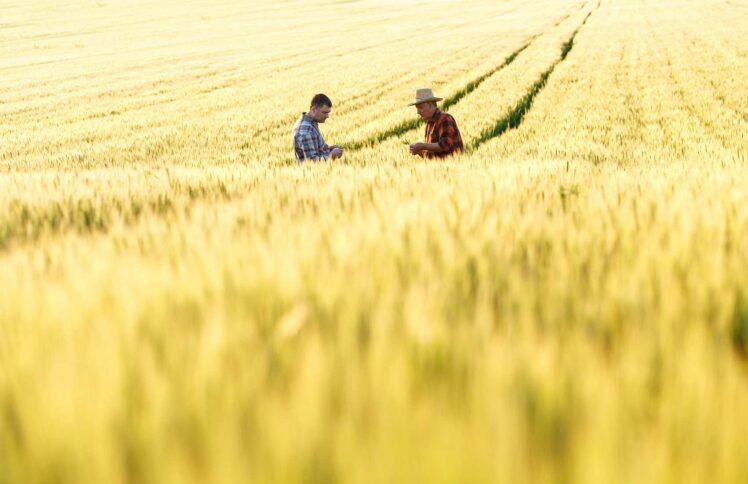 一个哈佛教授的自白：“自由”正是我痛苦的原因