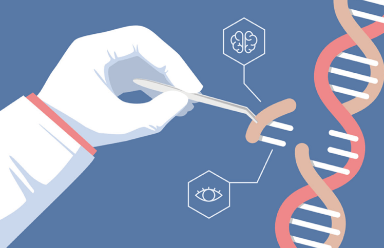 最危险的“私人定制”:完美婴儿?