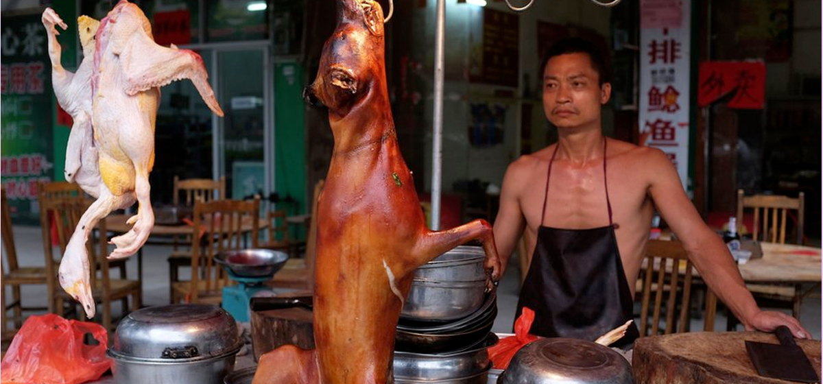 走出道德的困境——从玉林狗肉节谈起