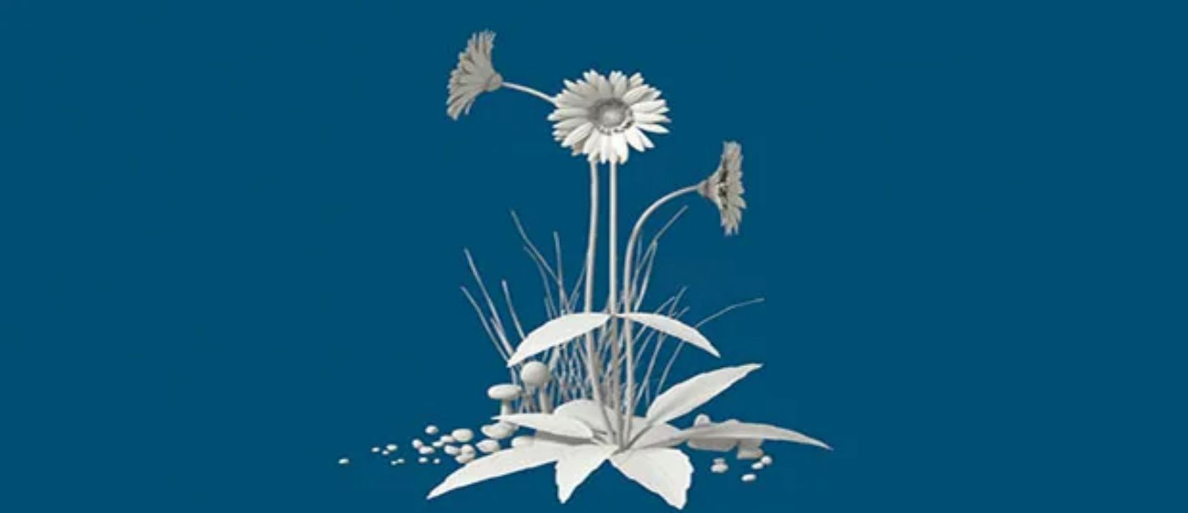 一个女生的醒悟：性不能拯救我