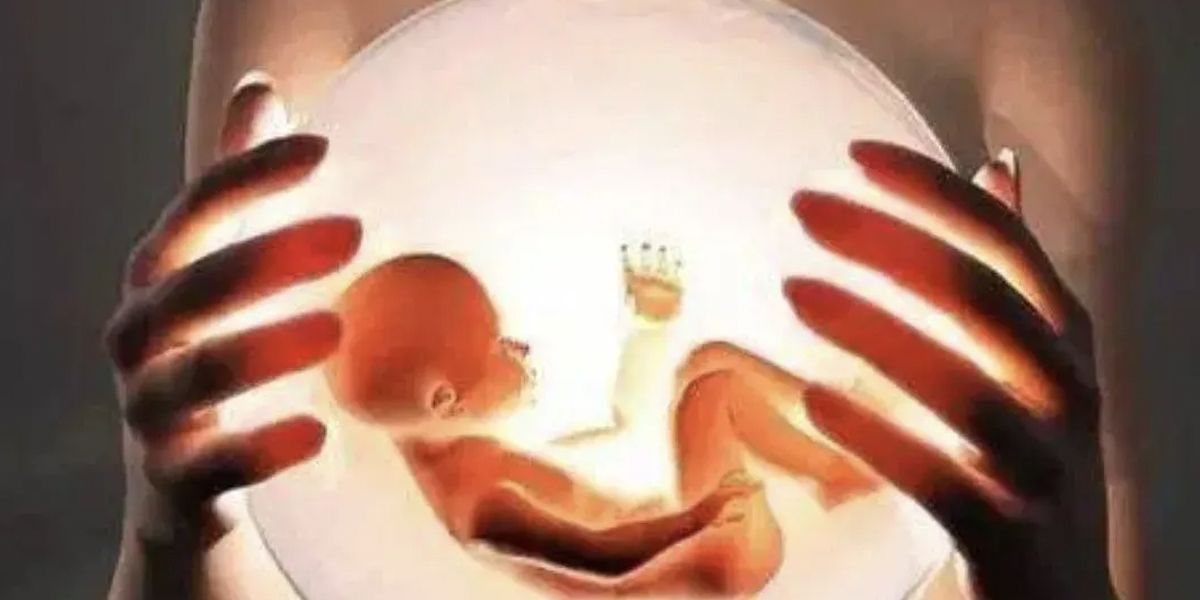 30位堕胎女性的爱与伤