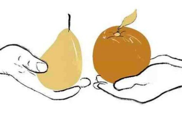 缺少真理之爱的地方，感恩注定是稀少的