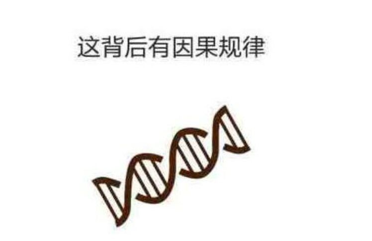 人胜不过罪的律，除非……