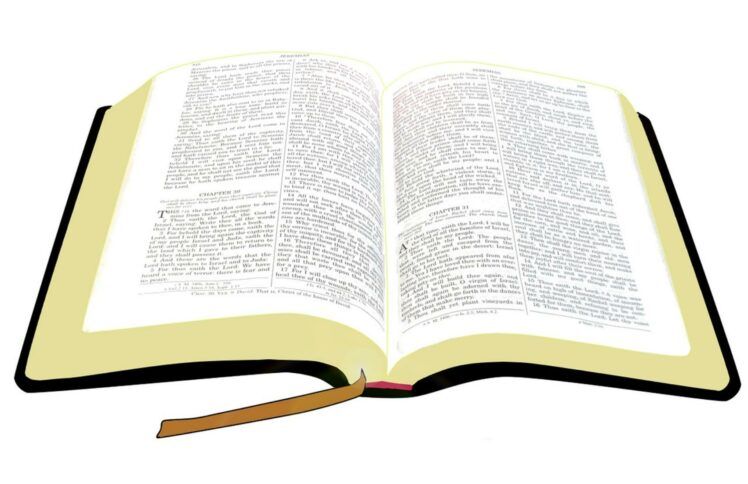 寻找真理还是寻求慰藉？